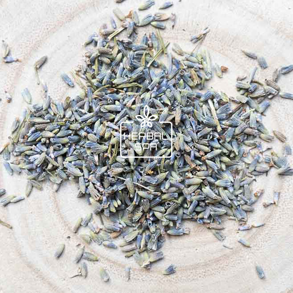 Poduktentwicklung - Kräuterauswahl für die My Herbal Spa Kräuter-Badezusätze - Bild: Lavendel